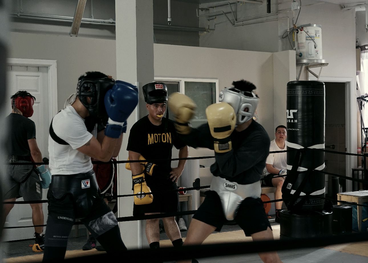Adults sparring in the ring